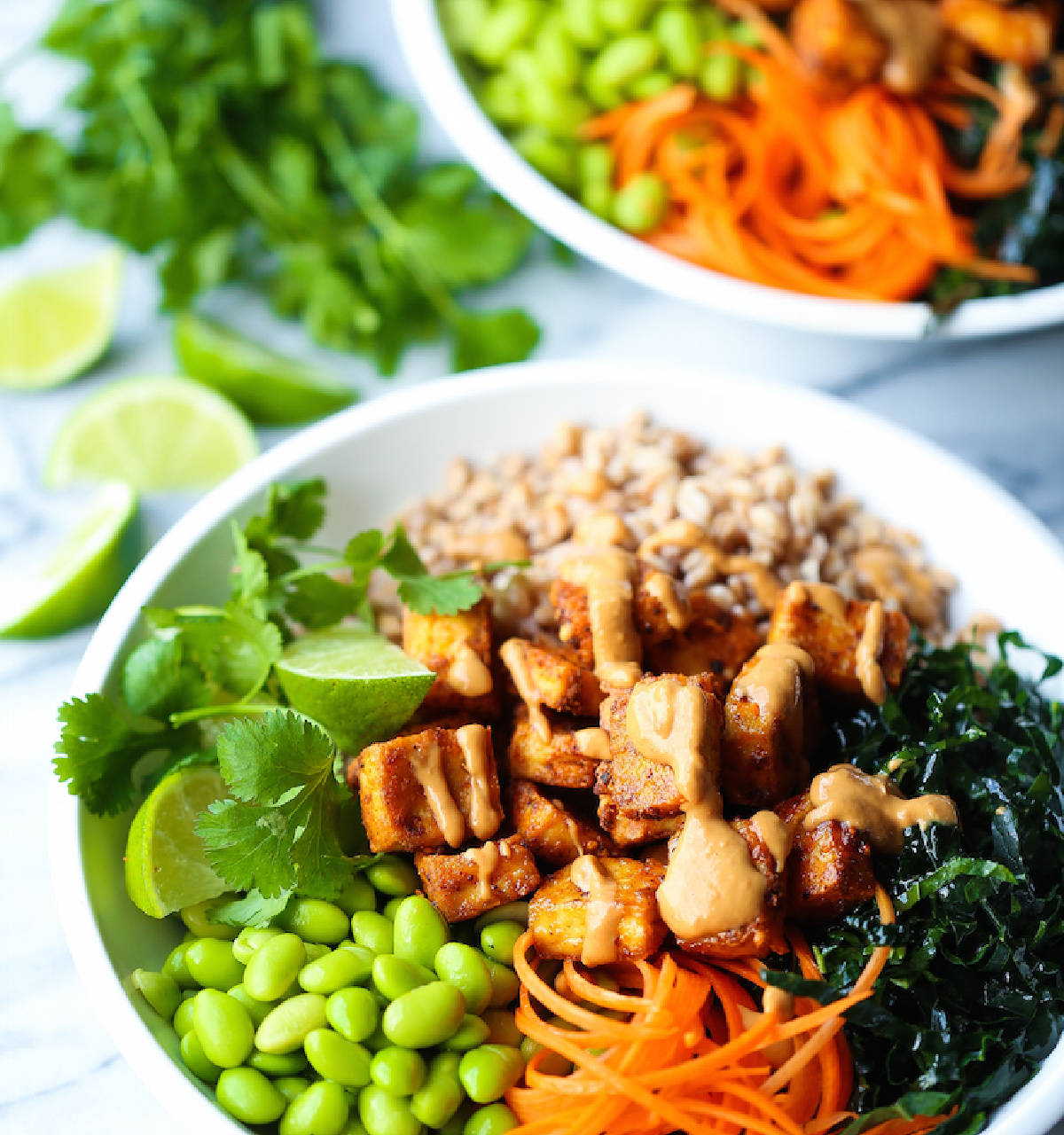 7 Super Delicious Tofu Recipes That Are Healthy and Easy - It's A Zesty