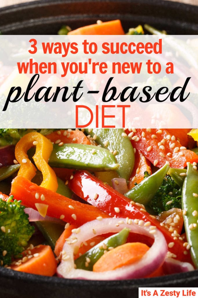 plant based diet for beginners